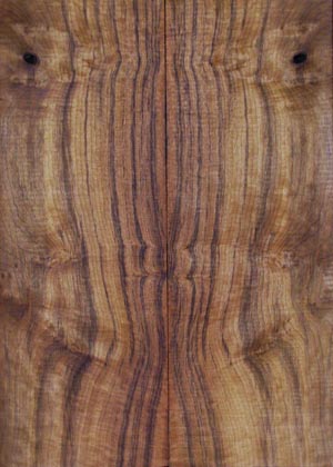 myrtlewood burl 19